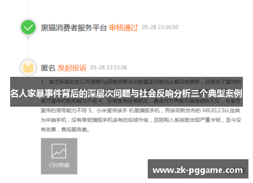 名人家暴事件背后的深层次问题与社会反响分析三个典型案例