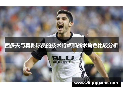 西多夫与其他球员的技术特点和战术角色比较分析 西多夫与其他球员的技术特点和战术角色比较分析