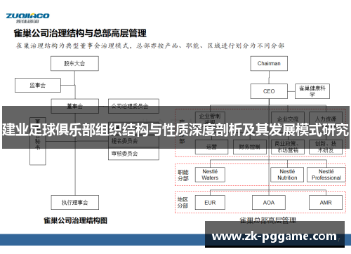建业足球俱乐部组织结构与性质深度剖析及其发展模式研究 建业足球俱乐部组织结构与性质深度剖析及其发展模式研究