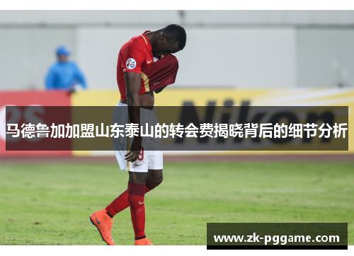 马德鲁加加盟山东泰山的转会费揭晓背后的细节分析