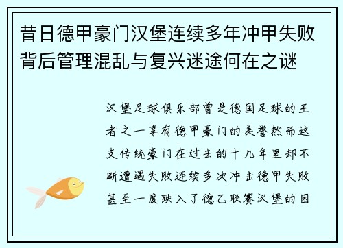 昔日德甲豪门汉堡连续多年冲甲失败背后管理混乱与复兴迷途何在之谜