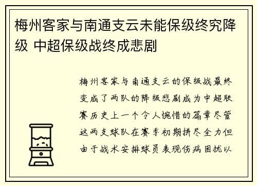 梅州客家与南通支云未能保级终究降级 中超保级战终成悲剧