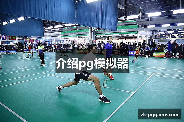 介绍pg模拟器